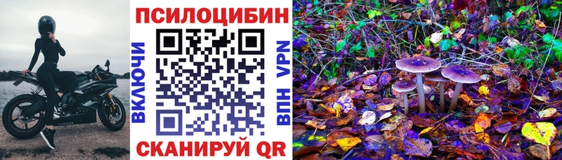 Псилоцибиновые грибы Cubensis Микунь